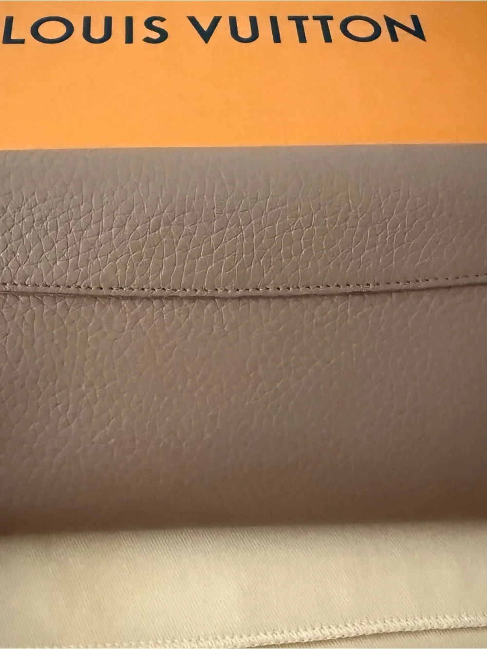 Louis Vuitton Portefeuille Capucines Long Wallet with Gold LV Emblem